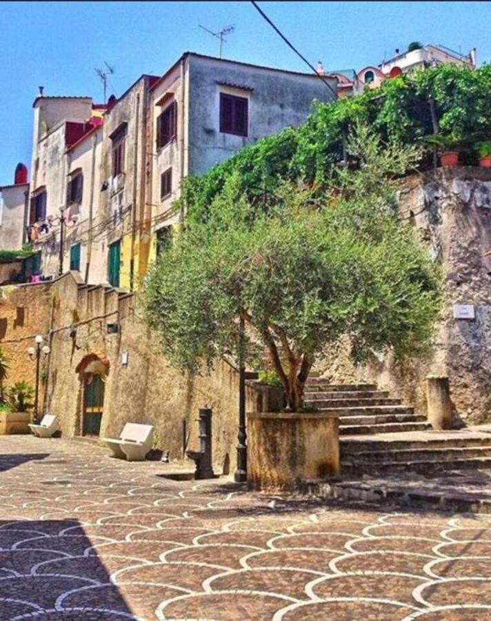 La Cambusa In Riva Al Mare 마이오리 외부 사진